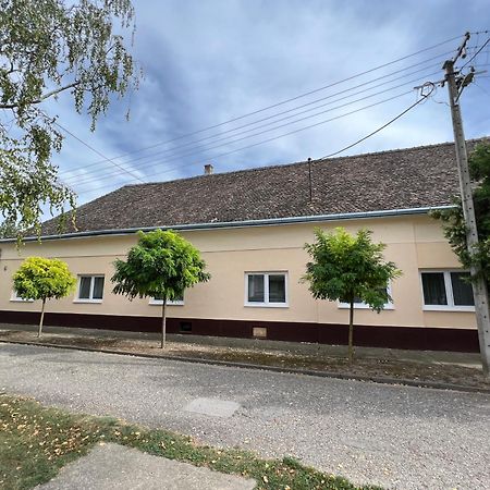 Bezdan Guesthouse Dış mekan fotoğraf