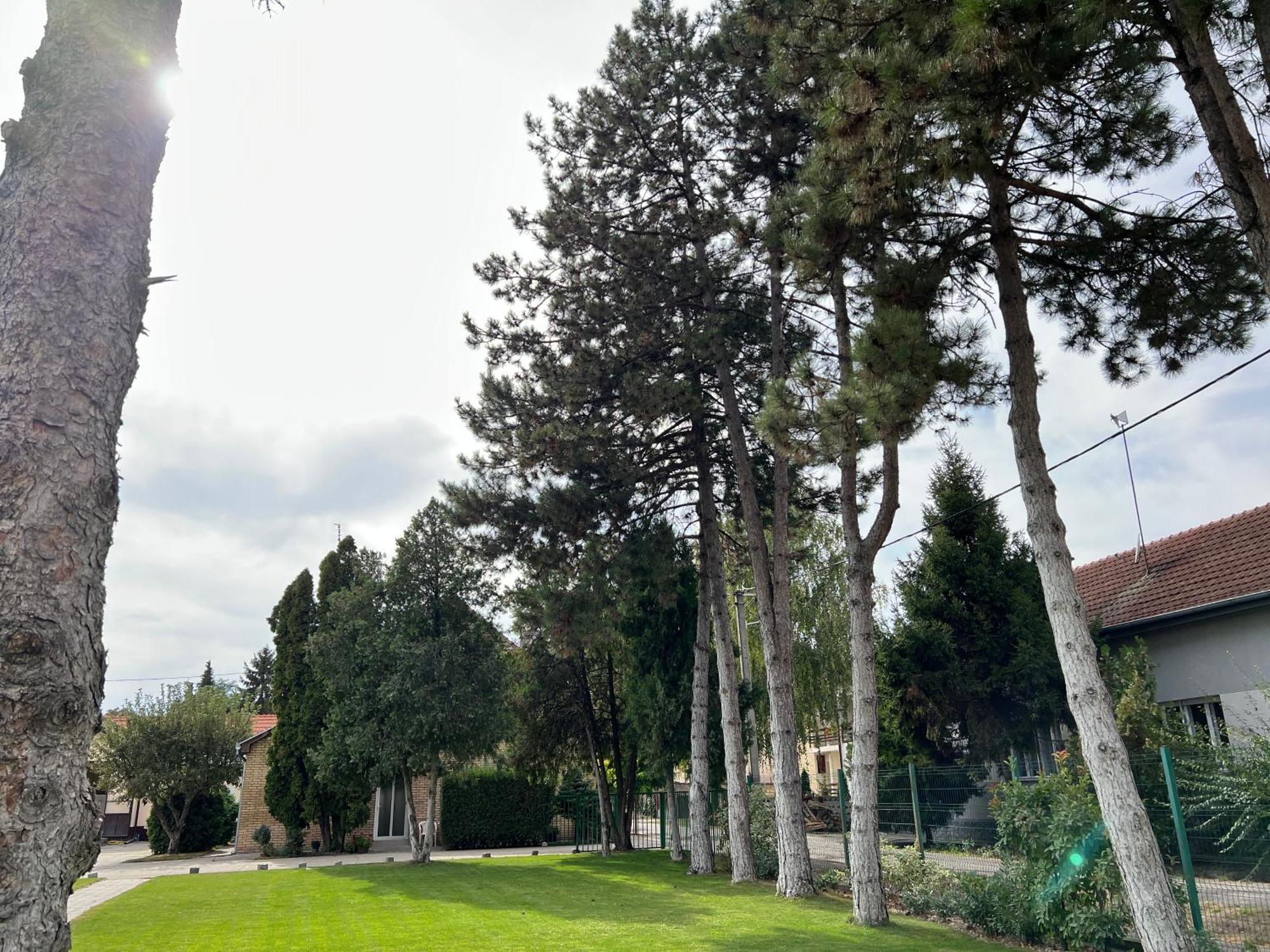 Bezdan Guesthouse Dış mekan fotoğraf