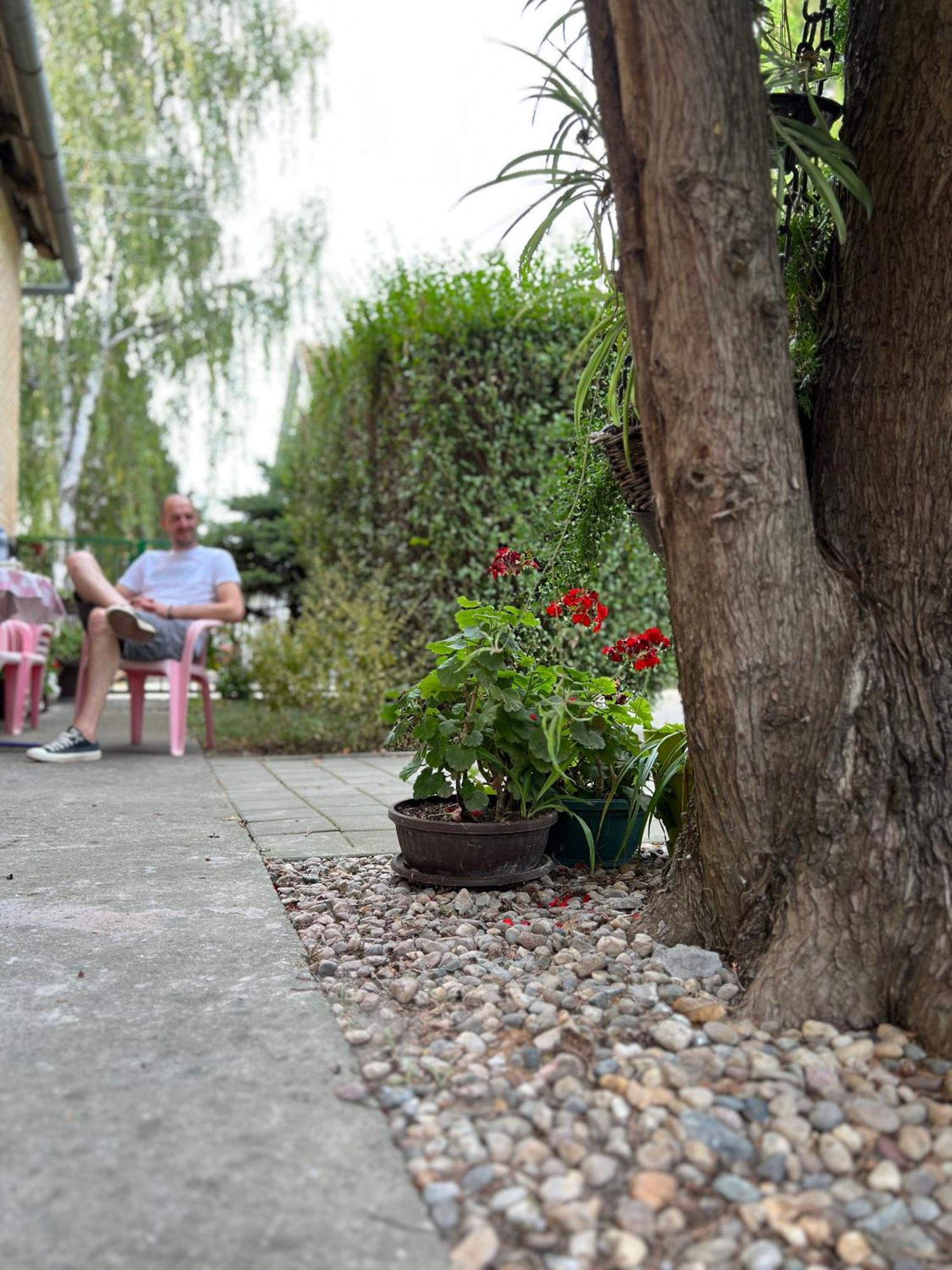 Bezdan Guesthouse Dış mekan fotoğraf
