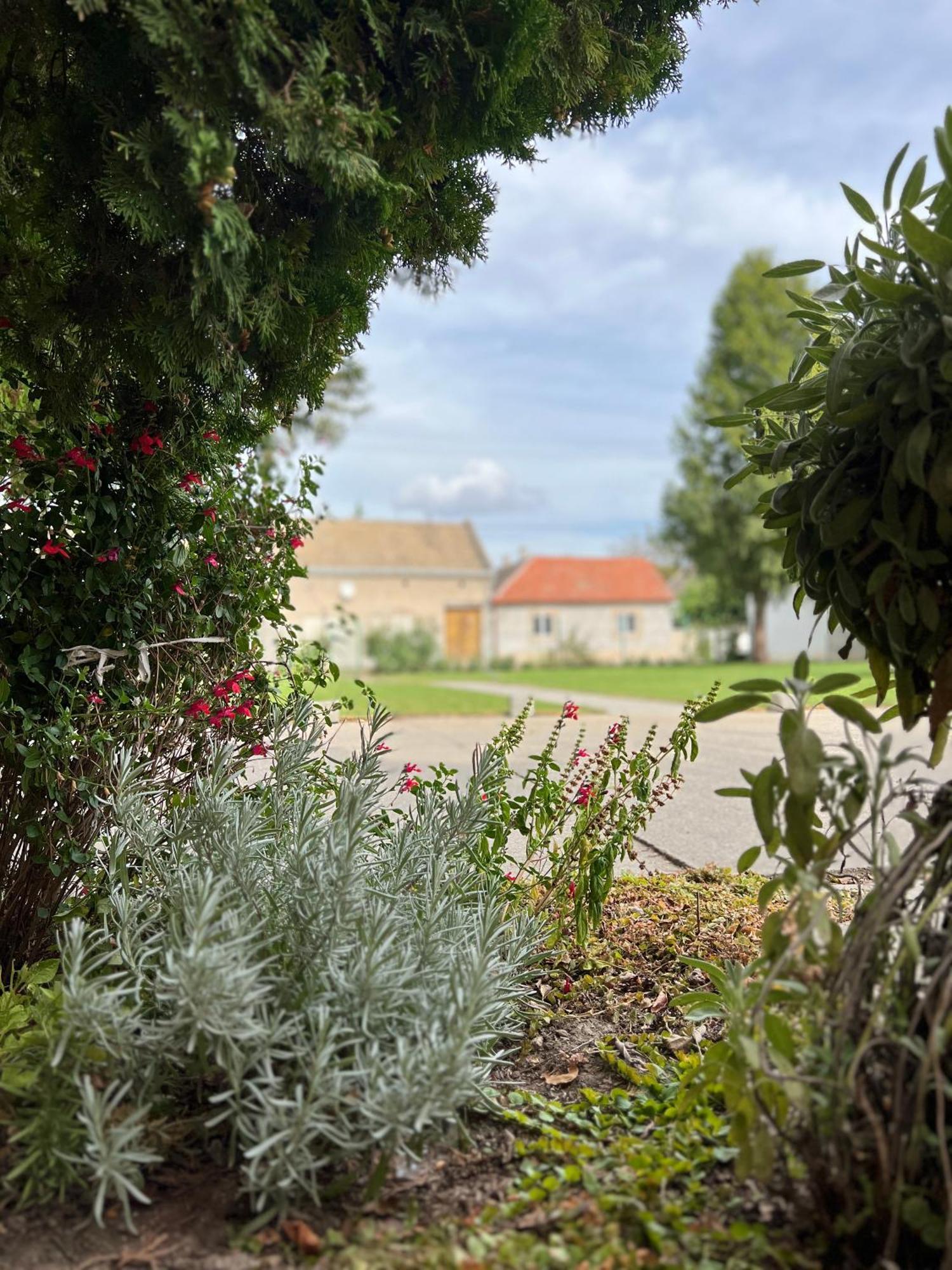 Bezdan Guesthouse Dış mekan fotoğraf